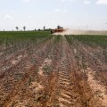 The Power of the 11 Big Food Companies